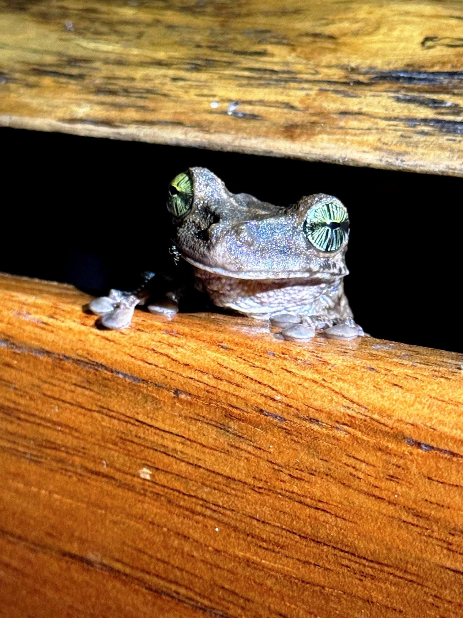 Viaggio Ecuador e Galapagos